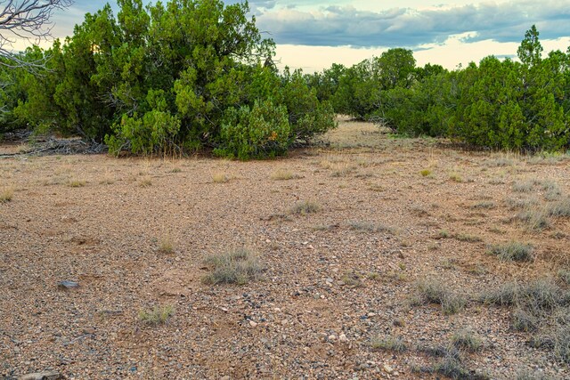 176 Wagon Trl, Cerrillos, NM 87010
