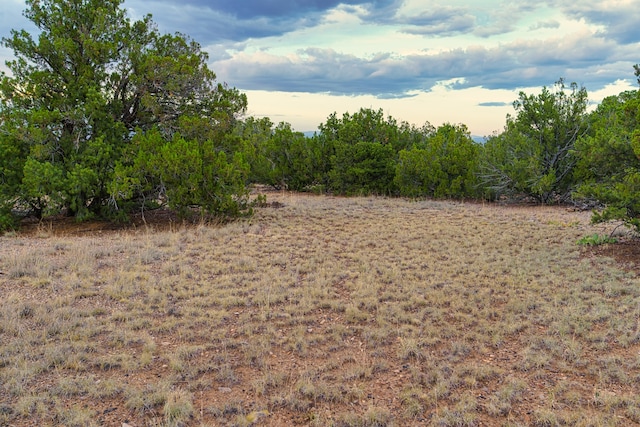 176 Wagon Trl, Cerrillos, NM 87010