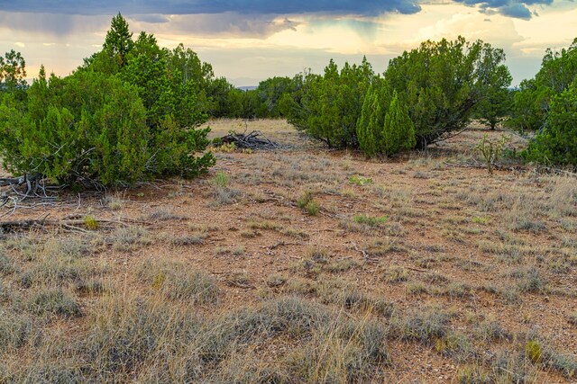 176 Wagon Trl, Cerrillos, NM 87010