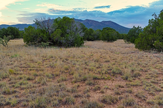 Listing photo 2 for 176 Wagon Trl, Cerrillos NM 87010