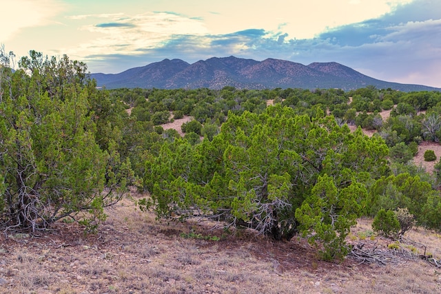 176 Wagon Trl, Cerrillos, NM 87010