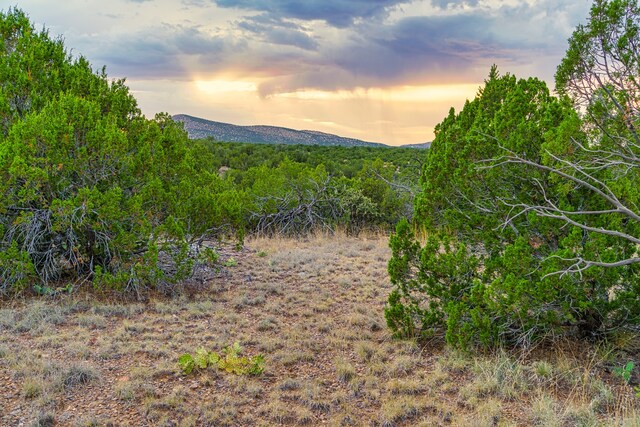 176 Wagon Trl, Cerrillos, NM 87010