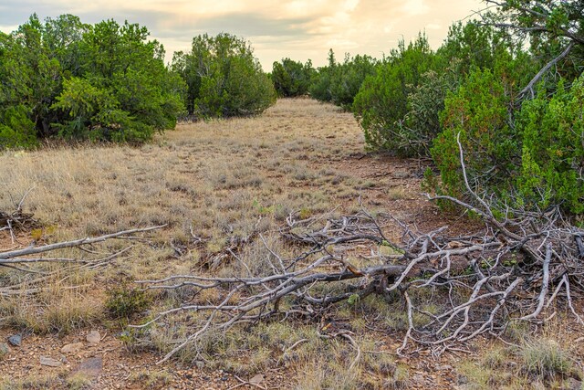 176 Wagon Trl, Cerrillos, NM 87010