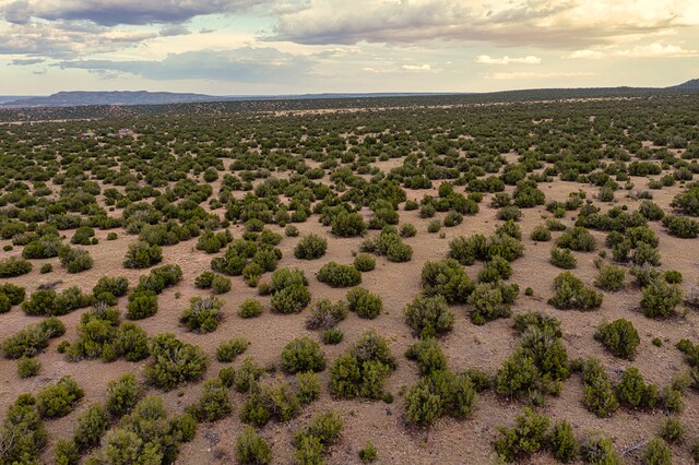 176 Wagon Trl, Cerrillos, NM 87010
