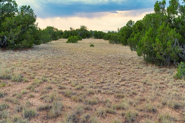 176 Wagon Trl, Cerrillos, NM 87010