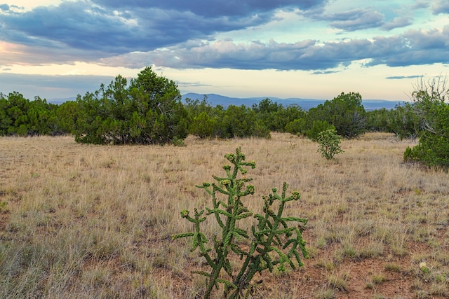 176 Wagon Trl, Cerrillos, NM 87010