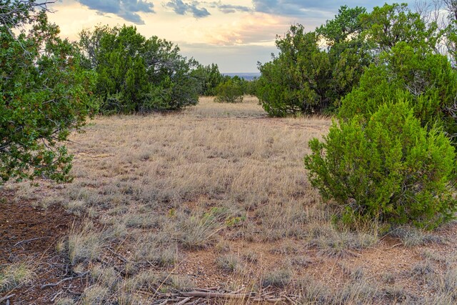176 Wagon Trl, Cerrillos, NM 87010