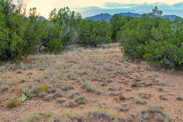 176 Wagon Trl, Cerrillos, NM 87010