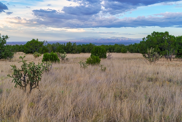 63 Pioneer Way, Cerrillos NM, 87010 land for sale