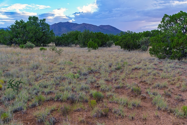 Listing photo 3 for 63 Pioneer Way, Cerrillos NM 87010