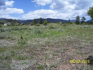 Listing photo 2 for 1352 Capuline, Chama NM 87520