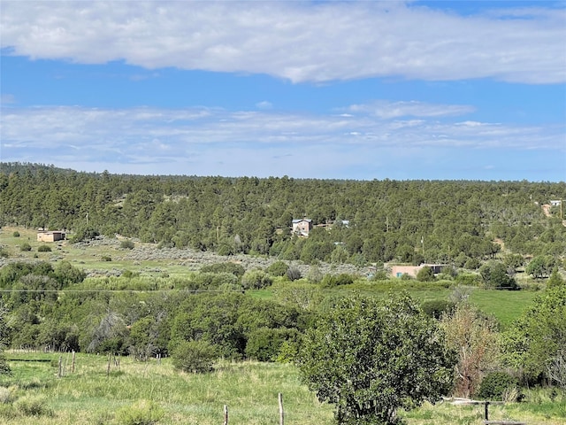 view of nature with a rural view