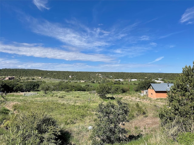 bird's eye view featuring a rural view