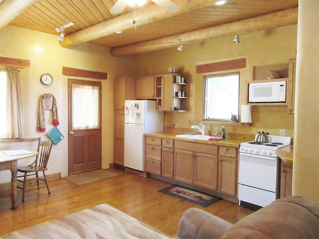 kitchen featuring plenty of natural light, light hardwood / wood-style floors, white appliances, and ceiling fan