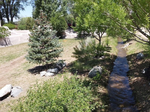 view of yard with a water view