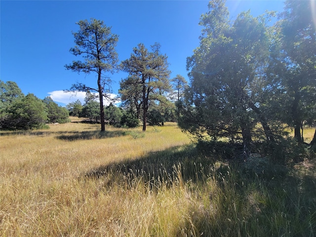 LOT64 Rim Unit 1, Los Ojos NM, 87551 land for sale