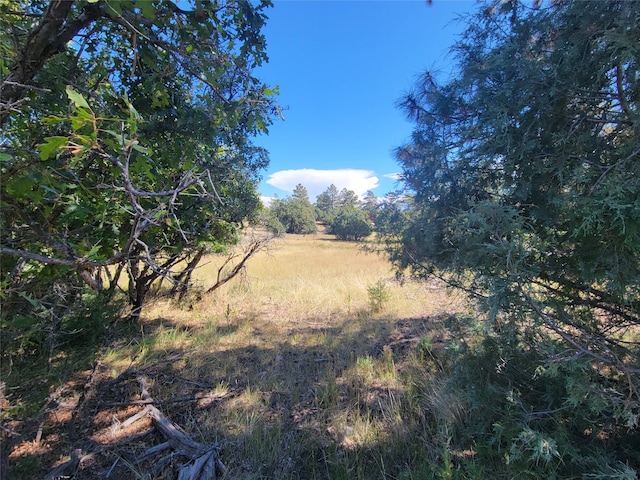 Listing photo 2 for LOT64 Rim Unit 1, Los Ojos NM 87551