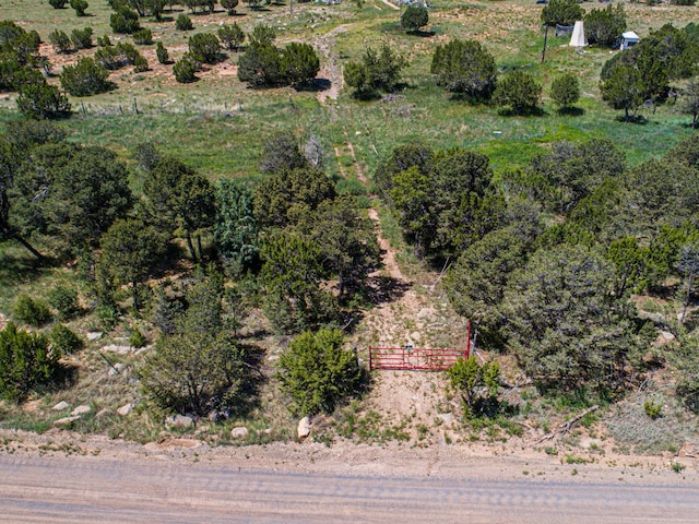 Listing photo 2 for 36 Forest Road 321, Estancia NM 87016