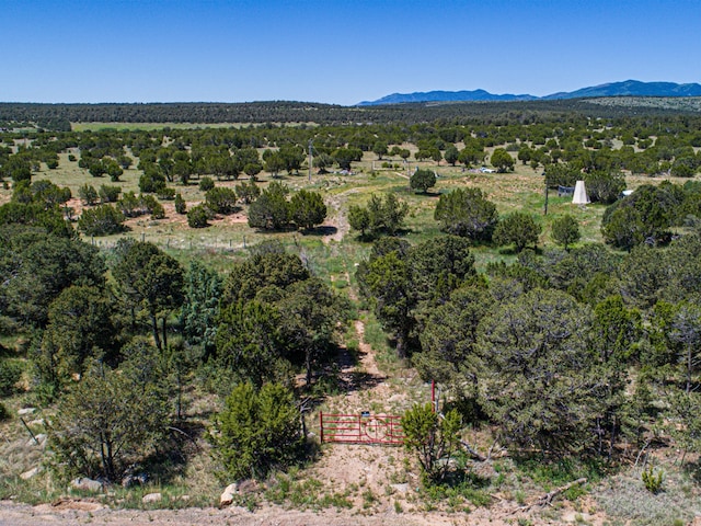 Listing photo 3 for 36 Forest Road 321, Estancia NM 87016