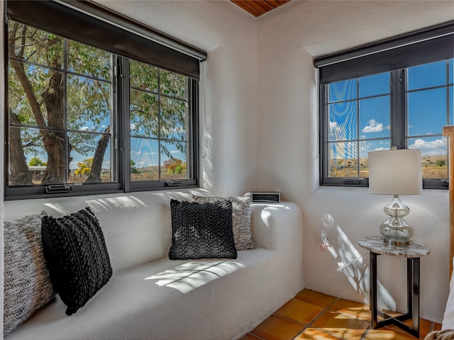 living area featuring plenty of natural light