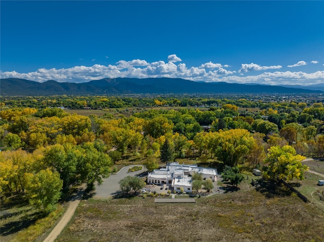 drone / aerial view with a mountain view