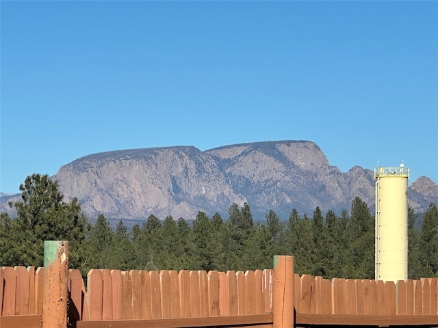 view of mountain feature