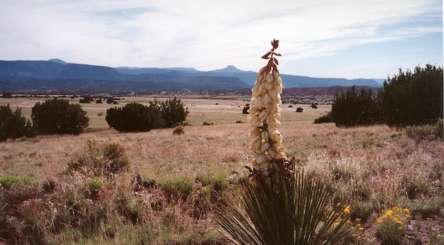 Listing photo 3 for 14 Blackfoot Trl, Abiquiu NM 87510