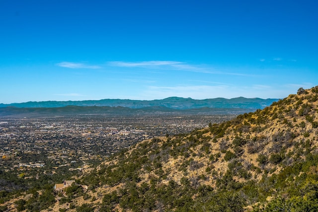 view of mountain feature