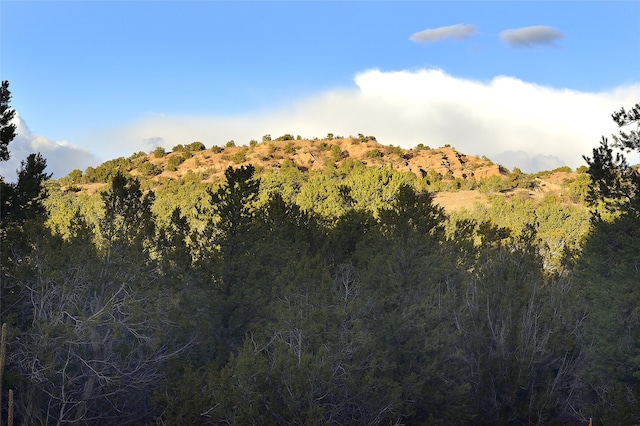 Listing photo 3 for 1479 Bishops Lodge Rd Unit B, Santa Fe NM 87506