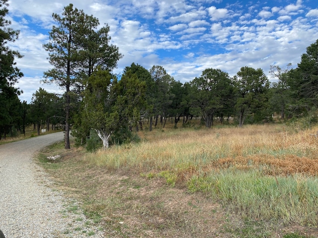 10 Wild Wings Cir, Pecos NM, 87552 land for sale