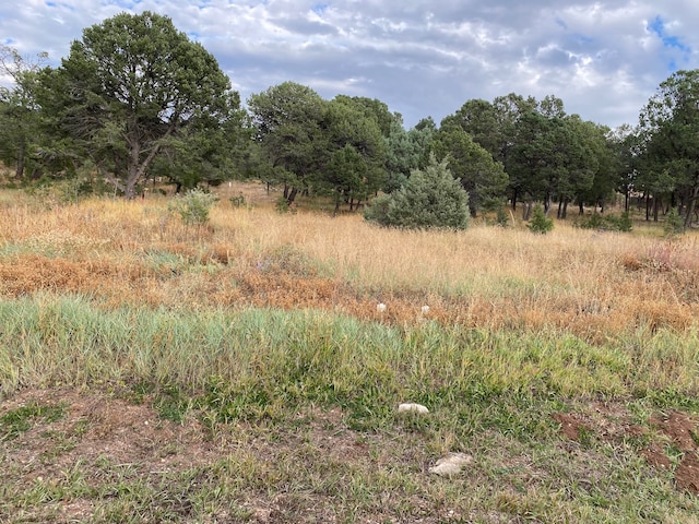 Listing photo 2 for 10 Wild Wings Cir, Pecos NM 87552