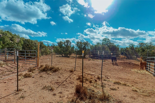 view of yard with a rural view