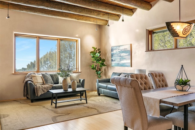 living room featuring hardwood / wood-style flooring and beam ceiling