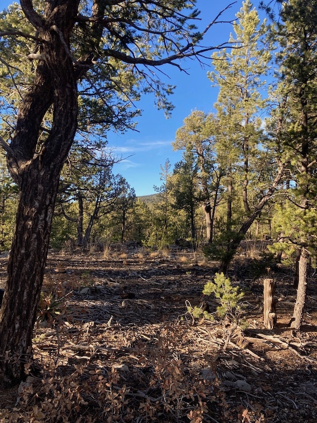 Address Not Disclosed, Pecos NM, 87552 land for sale