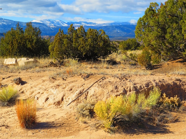 Listing photo 2 for LOT1A Arroyo Largo, Ojo Caliente NM 87549