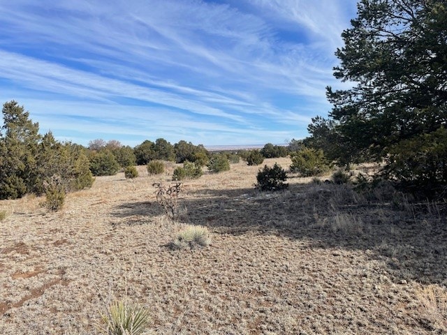 Listing photo 3 for 64 Saddle Spur Trl, Edgewood NM 87015