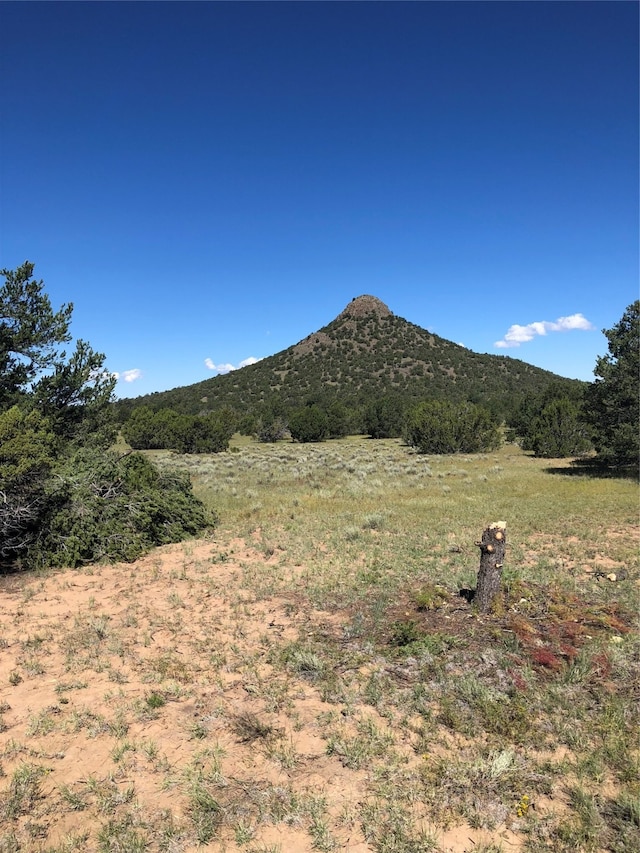 LOTS56 Mujeres Cir, Quemado NM, 87315 land for sale