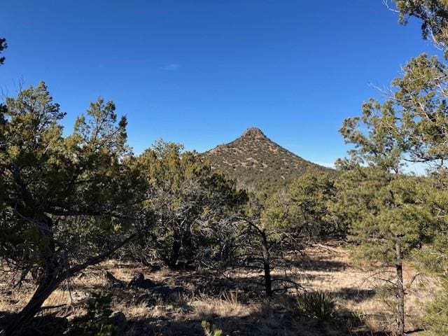 Listing photo 2 for LOTS56 Mujeres Cir, Quemado NM 87315