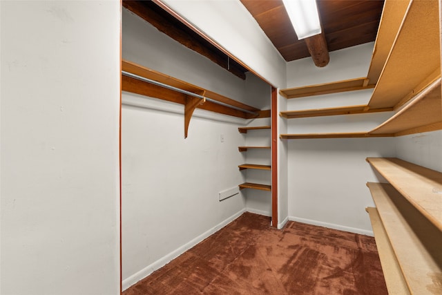 walk in closet featuring dark colored carpet