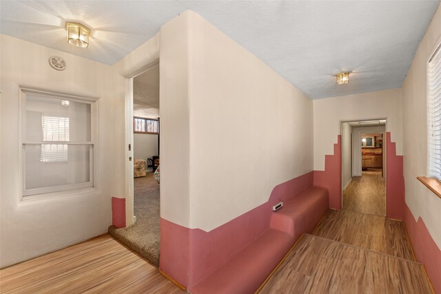 corridor with light carpet and a healthy amount of sunlight