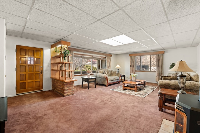 carpeted living room featuring a paneled ceiling