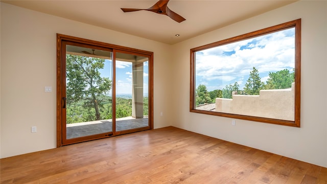 spare room featuring plenty of natural light and light hardwood / wood-style floors