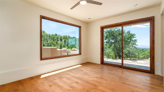 empty room featuring ceiling fan and light wood-type flooring