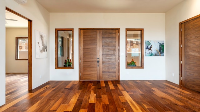 interior space with dark hardwood / wood-style floors