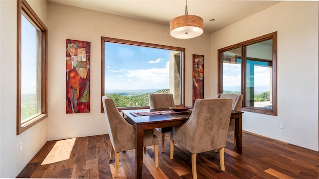 dining room with dark hardwood / wood-style flooring