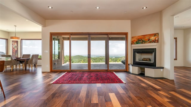 interior space with plenty of natural light and dark wood-type flooring