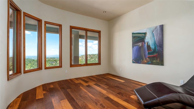 interior space with dark hardwood / wood-style flooring