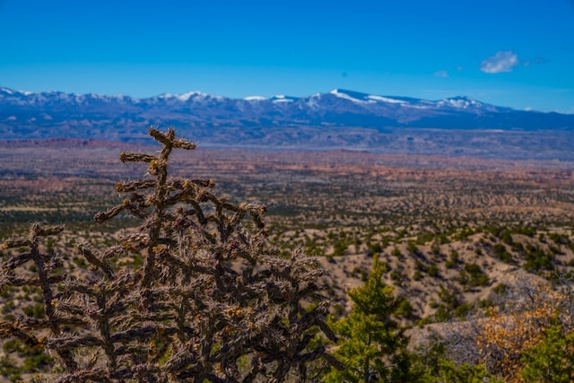 Listing photo 2 for 53Acres Canon Escondido, Chimayo NM 87522