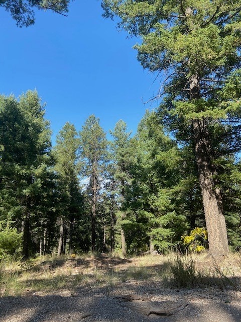 8A Los Griegos, Jemez Springs NM, 87025 land for sale