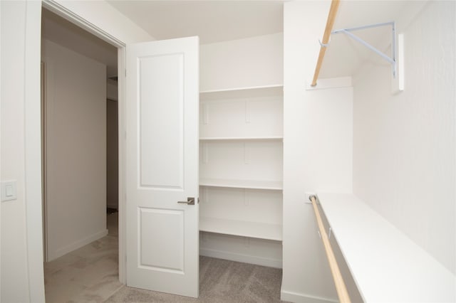 walk in closet featuring light colored carpet